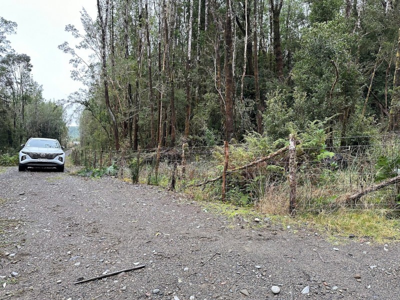 Parcela Chiloé -Queilen Ruta W-919