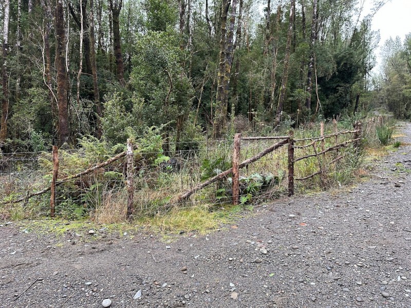 Parcela Chiloé -Queilen Ruta W-919