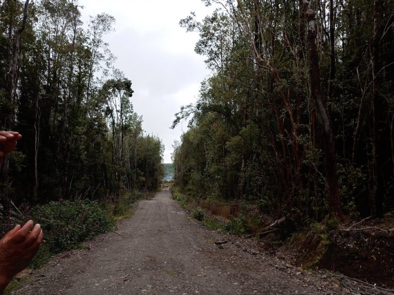 Parcela Chiloé -Queilen Ruta W-919