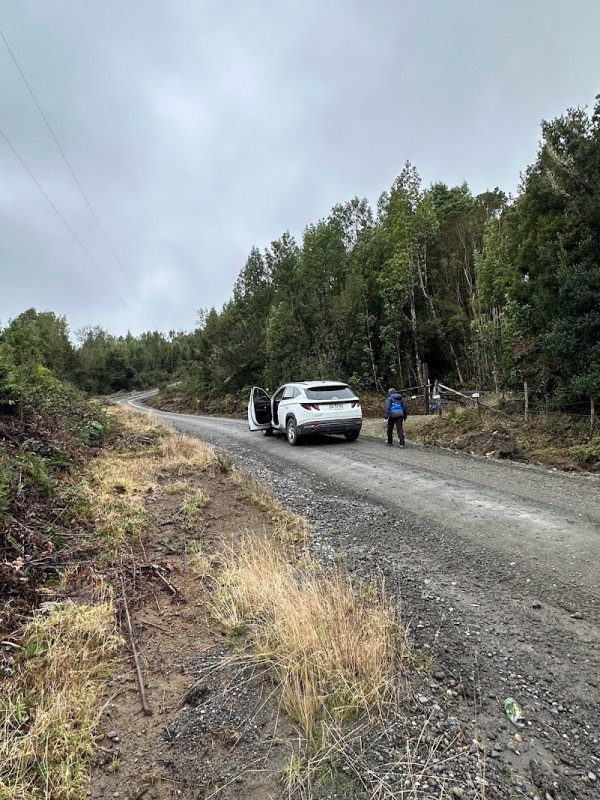 Parcela Chiloé -Queilen Ruta W-919