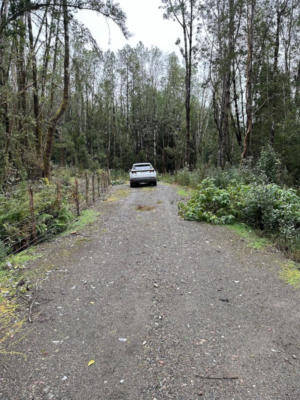 Parcela Chiloé -Queilen Ruta W-919