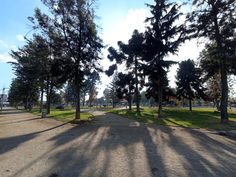 Terreno 1370M2 Con Casa, Galpon, Oficina y Canal de Regadio