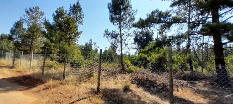 Terreno Amplio, Entorno Rural Con Vegetación Nativa
