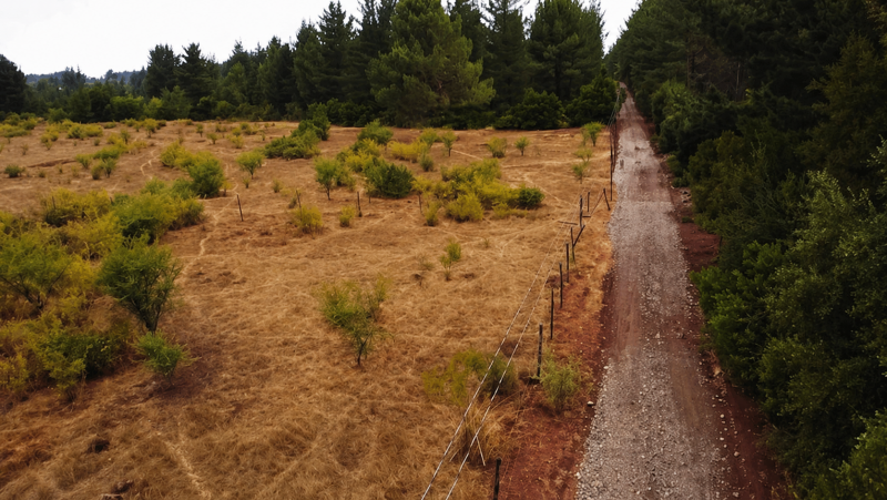 Terreno Amplio, Entorno Rural Con Vegetación Nativa