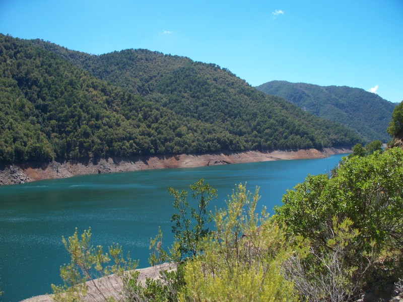 Terreno Amplio, Entorno Rural Con Vegetación Nativa