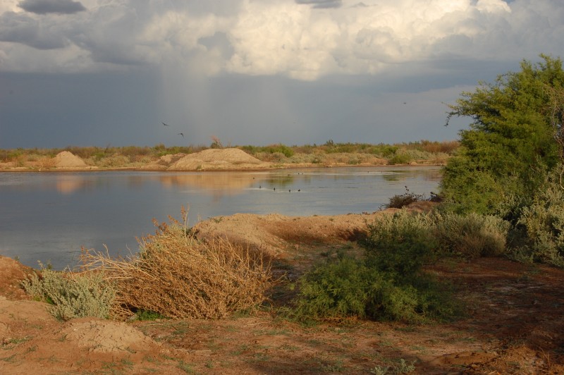 9.400 Ha Divisible Cada 1.700Ha. $ 436.330 / Ha Mendoza. Arg