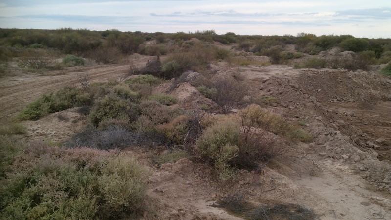 9.400 Ha Divisible Cada 1.700Ha. $ 436.330 / Ha Mendoza. Arg