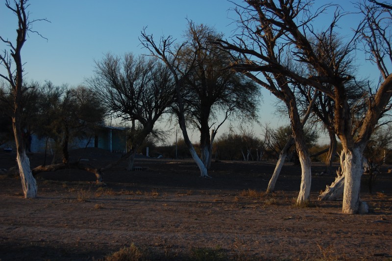 9.400 Ha Divisible Cada 1.700Ha. $ 436.330 / Ha Mendoza. Arg