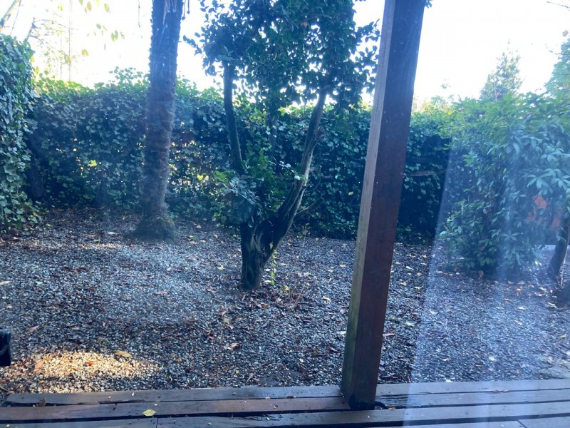 Arriendo Casa 4 Dorm, 2 Baños, Entre Villarrica y Pucon