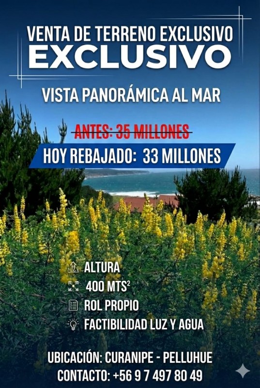 Fotografía de Terreno Vista Al Mar 400 Mts 35 Millones Curanipe