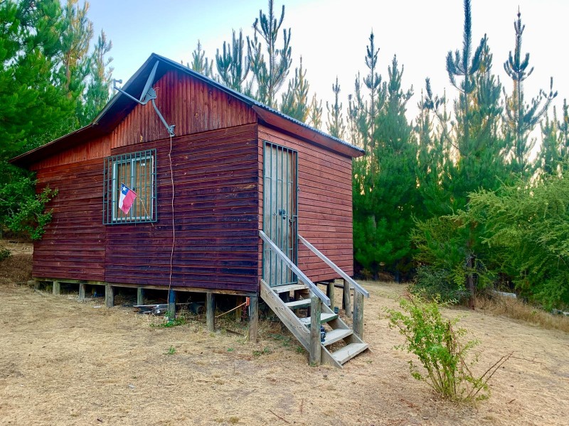 5.600 Mts2 en Nirivilo. Con 2 Casas. Amobladas Vende Dueño.