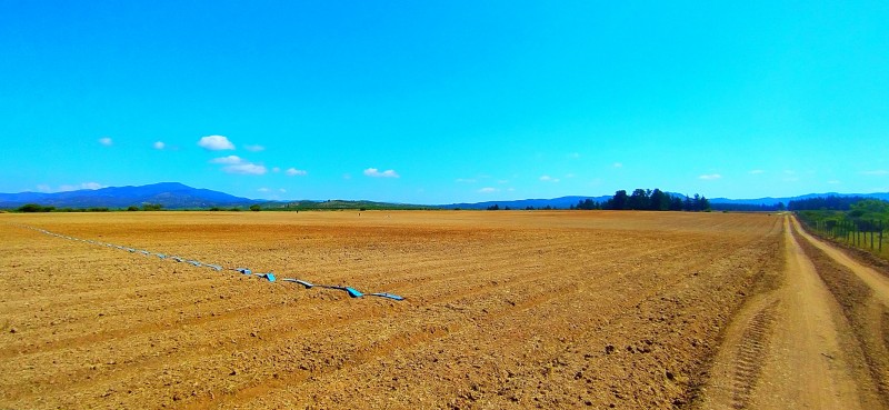 Se Vende Campo Agricola 80.6 Has, Comuna de Lolol
