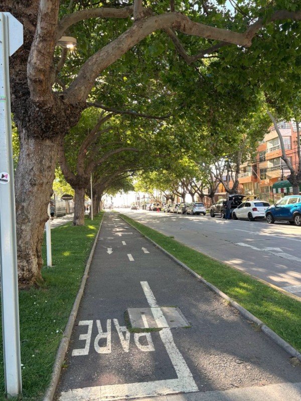 Luminoso Dpto. en Viña 8 Nte Cerca de Av. San Martin