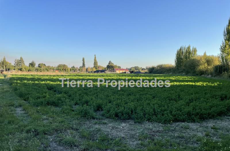 Venta Parcela el Peral -8Km los Angeles Rebajada!!