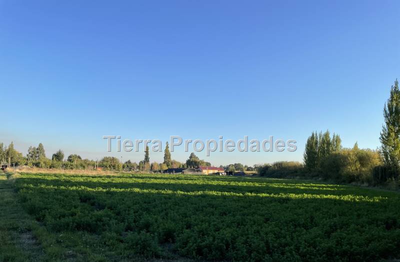 Venta Parcela el Peral -8Km los Angeles Rebajada!!