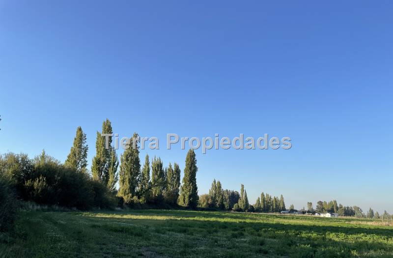 Venta Parcela el Peral -8Km los Angeles Rebajada!!