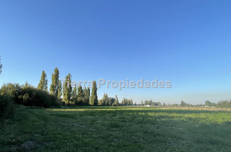 Venta Parcela el Peral -8Km los Angeles Rebajada!!