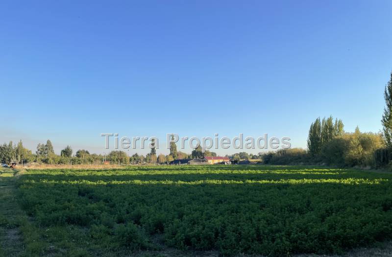 Venta Parcela el Peral -8Km los Angeles Rebajada!!