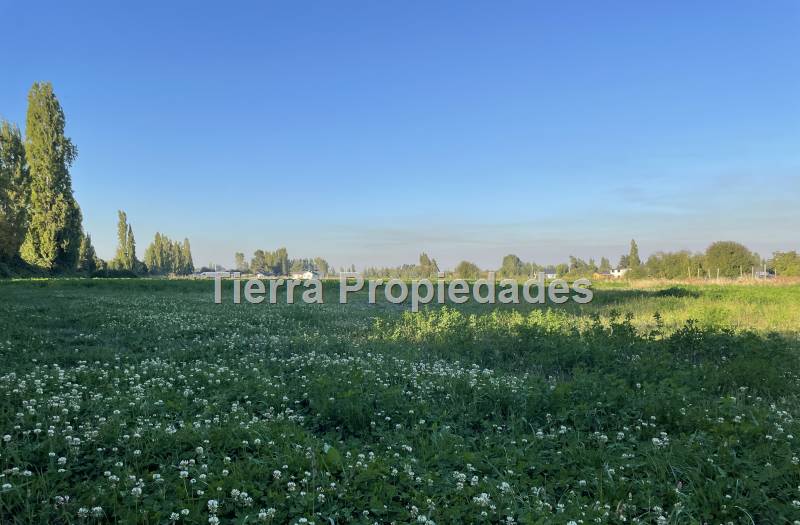 Venta Parcela el Peral -8Km los Angeles Rebajada!!