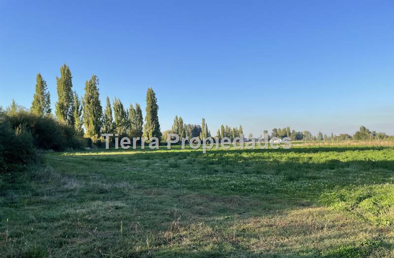 Venta Parcela el Peral -8Km los Angeles Rebajada!!