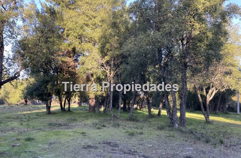 Lindas Parcelas en Loteo A 10 Km los Angeles Ofertas!!