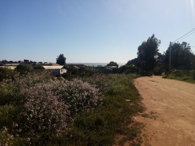 Vendo Sitio en Playa la Ballena