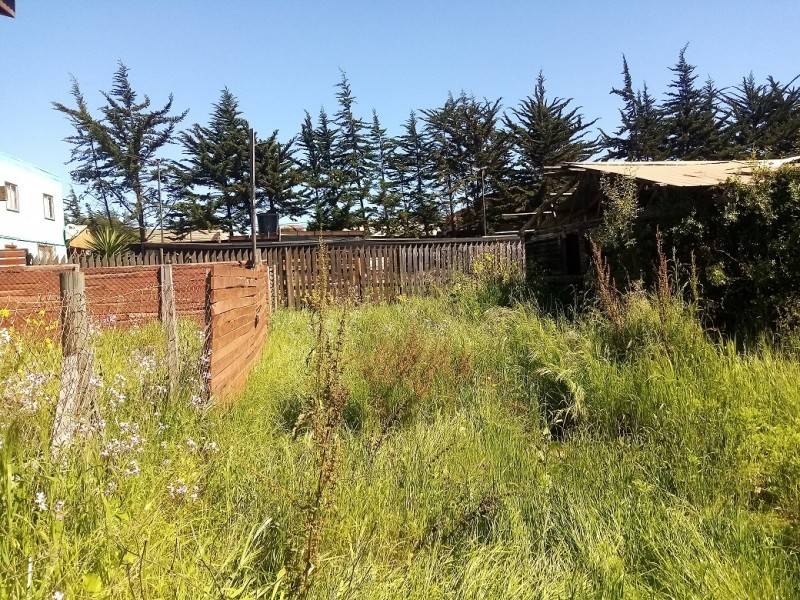 Vendo Sitio en Playa la Ballena