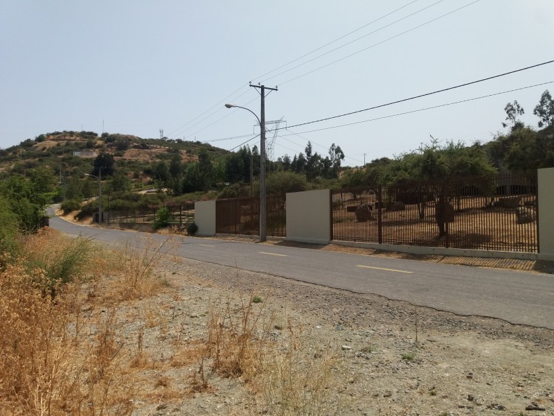 Venta Parcela 5.000 M2 Cerro Cristal Curico