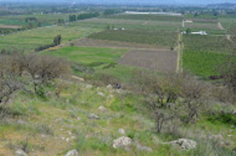 Venta Parcela 5.000 M2 Cerro Cristal Curico