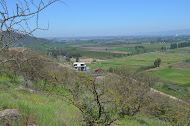 Venta Parcela 5.000 M2 Cerro Cristal Curico