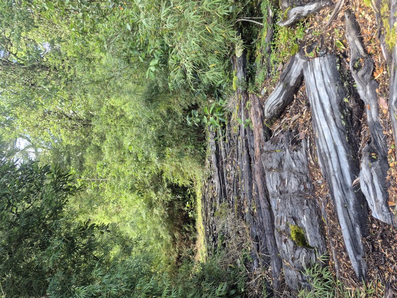 Se Vende Parcela Lago Rupanco, Lago Puyehue.