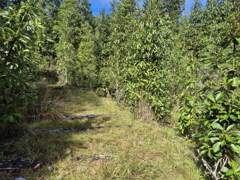 Se Vende Parcela Lago Rupanco, Lago Puyehue.