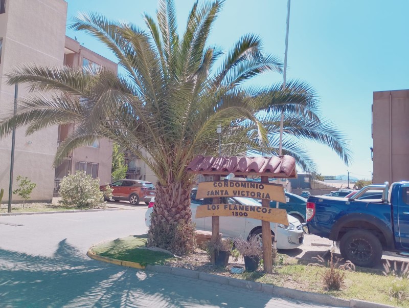 Vendo Departamento en Condominio Santa Victoria, Maipú