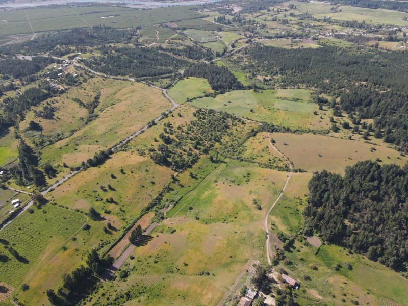 Fundo San Miguel, Colliguay