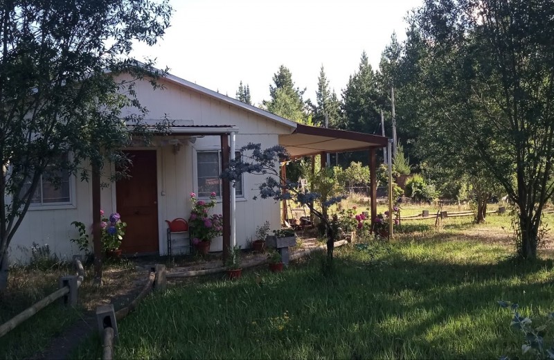 Arriendo Parcela Con Casa y Cabañas Habitacionales