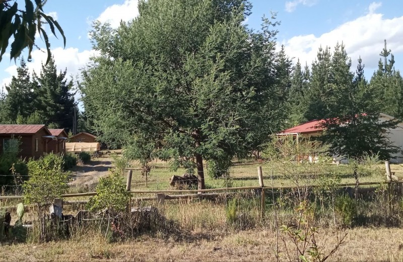 Parcela de Agrado 1 Hectarea Con Cabañas