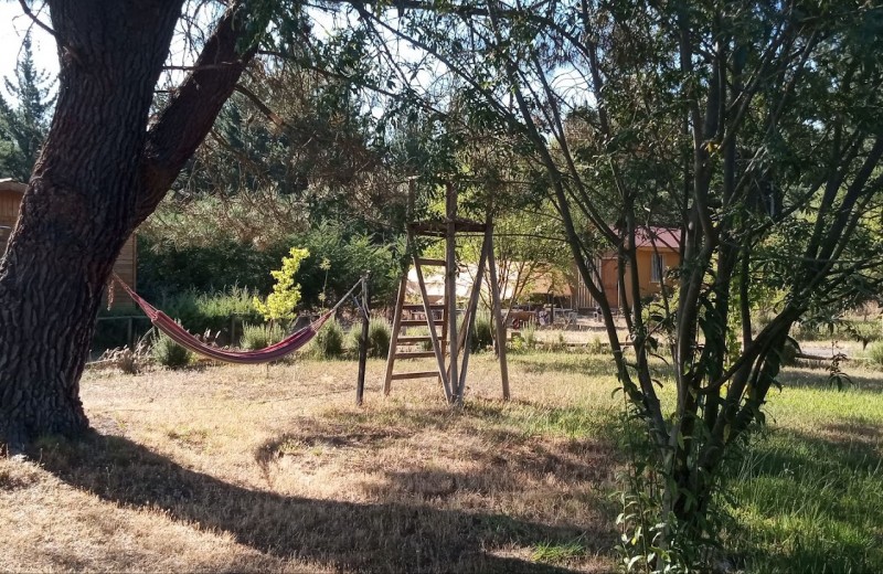 Arriendo Parcela Con Casa y Cabañas Habitacionales