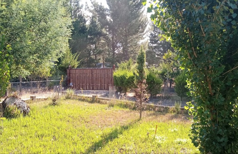 Arriendo Parcela Con Casa y Cabañas Habitacionales