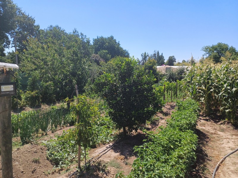 Vta. Casa Campo Colchagua