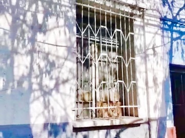 Casa en Venta- San Gerardo