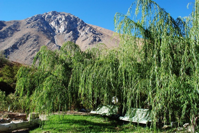 Cabaña Premium Bioclimàtica en Condominio Ecologico Elqui