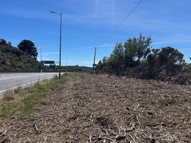 Pargua ,cruce Chayahue Terreno Orilla Carretera