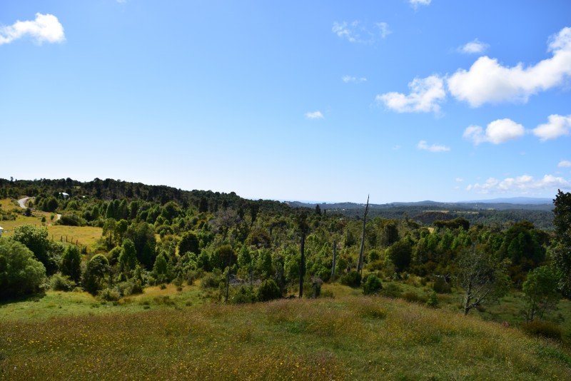 Estaquilla ,terreno Parque de Alerces ,exclusivo