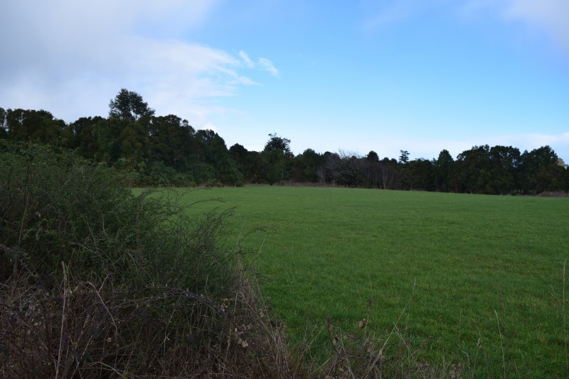 los Muermos ,exclusivo Orilla de Carretera.-