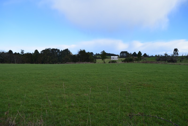 los Muermos ,exclusivo Orilla de Carretera.-