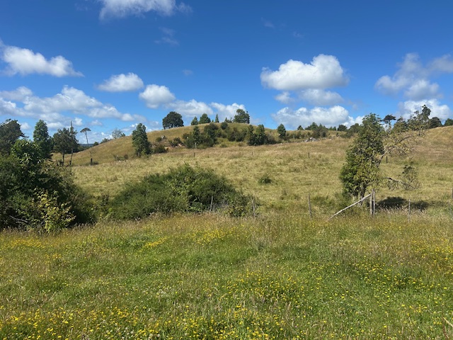 Estaquilla ,terreno Parque de Alerces ,exclusivo