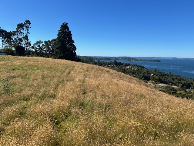 San Agustin, Terreno Vista Al Mar ,orilla Carretera.-
