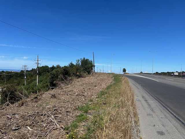 Pargua ,cruce Chayahue Terreno Orilla Carretera