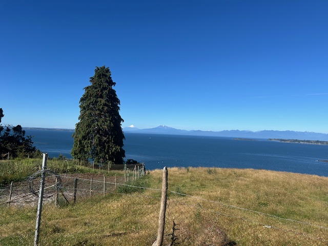 San Agustin, Terreno Vista Al Mar ,orilla Carretera.-