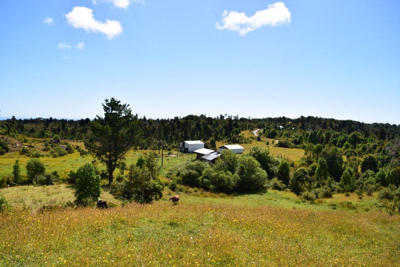 Estaquilla ,terreno Parque de Alerces ,exclusivo